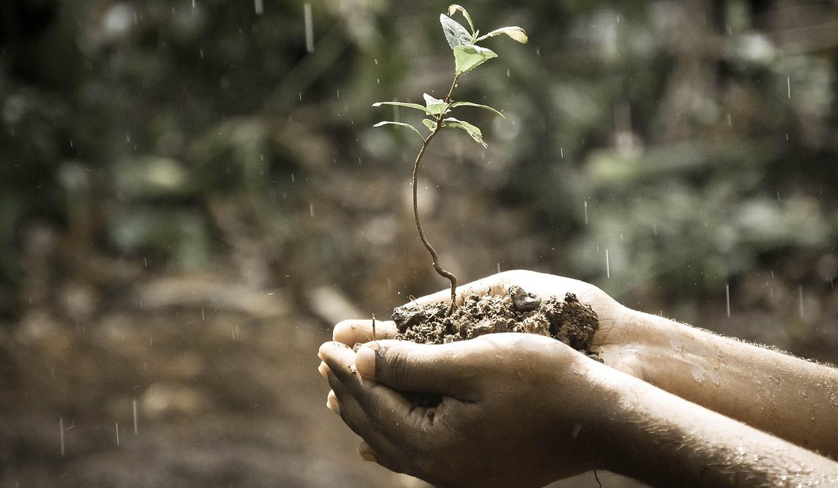 Monthly Seasonal Jobs for a Productive Kitchen Garden
